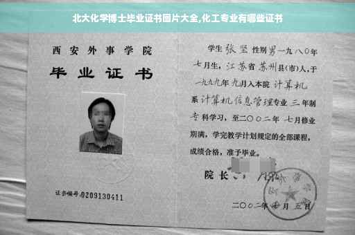 北大化学博士毕业证书图片大全,化工专业有哪些证书 北大化学博士毕业证书图片大全,化工专业有哪些证书