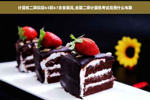 计算机二级科目65和67含金量高,全国二级计算机考试应用什么电脑