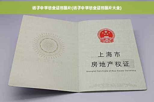 坊子中学毕业证书图片(坊子中学毕业证书图片大全)