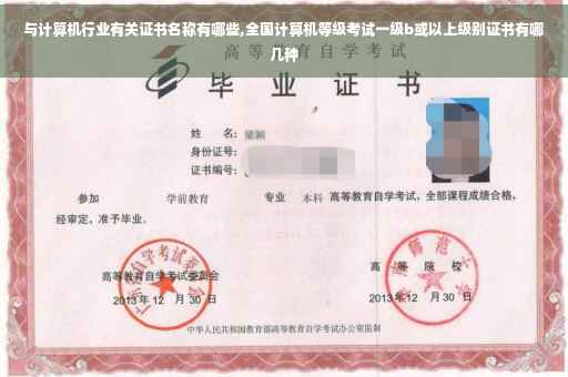 与计算机行业有关证书名称有哪些,全国计算机等级考试一级b或以上级别证书有哪几种