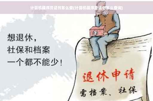 计算机程序员证书怎么查(计算机程序员证书怎么查询)