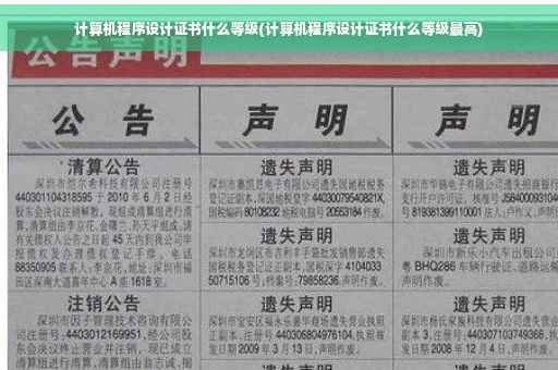 计算机程序设计证书什么等级(计算机程序设计证书什么等级最高)