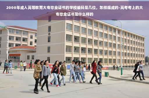 2000年成人高等教育大专毕业证书的学校编码是几位，怎样组成的-高考考上的大专毕业证书是什么样的