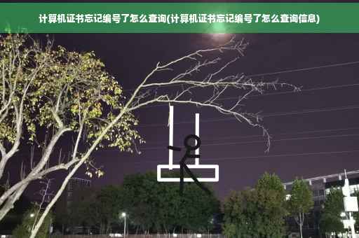 计算机证书忘记编号了怎么查询(计算机证书忘记编号了怎么查询信息)