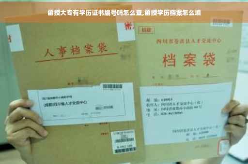 函授大专有学历证书编号吗怎么查,函授学历档案怎么填