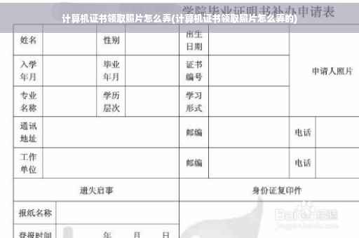 计算机证书领取照片怎么弄(计算机证书领取照片怎么弄的)