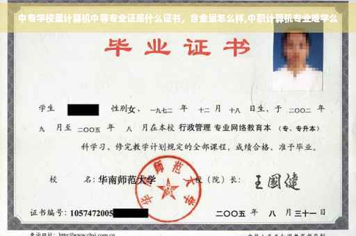 中专学校里计算机中等专业证是什么证书，含金量怎么样,中职计算机专业难学么