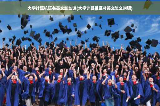 大学计算机证书英文怎么说(大学计算机证书英文怎么说呢)