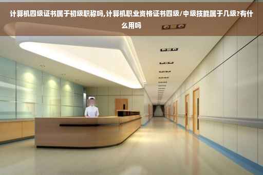 计算机四级证书属于初级职称吗,计算机职业资格证书四级/中级技能属于几级?有什么用吗