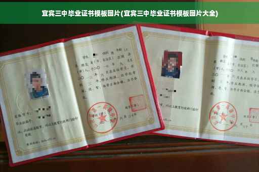 宜宾三中毕业证书模板图片(宜宾三中毕业证书模板图片大全)