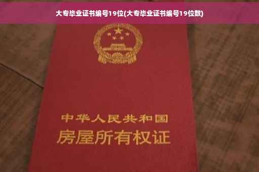 大专毕业证书编号19位(大专毕业证书编号19位数)