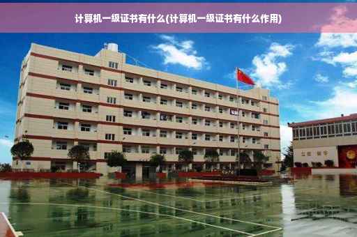 计算机一级证书有什么(计算机一级证书有什么作用)