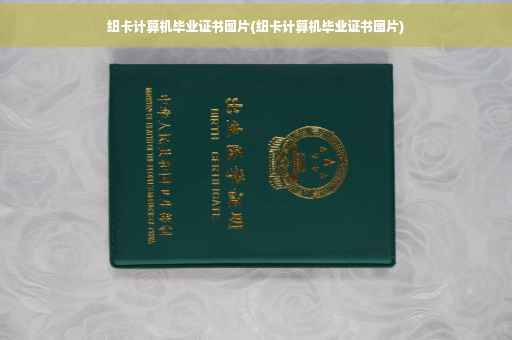 纽卡计算机毕业证书图片(纽卡计算机毕业证书图片)