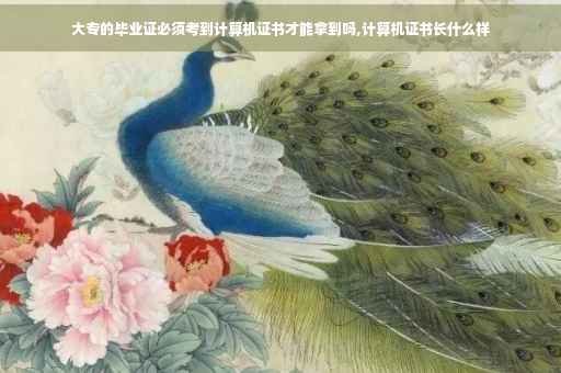 大专的毕业证必须考到计算机证书才能拿到吗,计算机证书长什么样