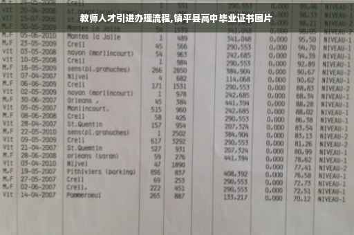 教师人才引进办理流程,镇平县高中毕业证书图片