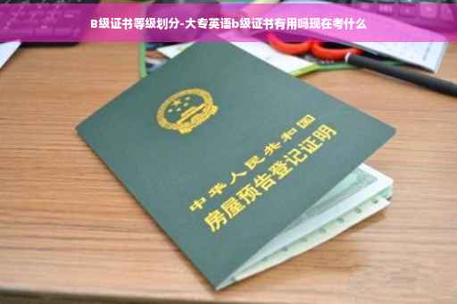 B级证书等级划分-大专英语b级证书有用吗现在考什么