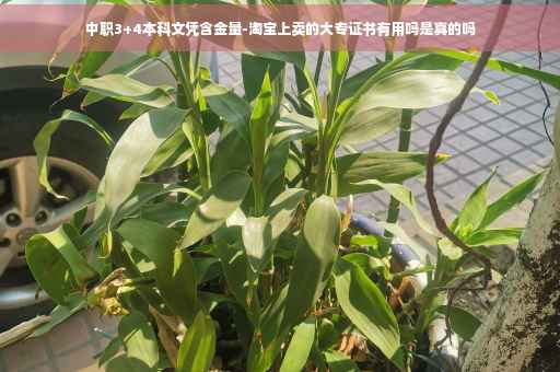 中职3+4本科文凭含金量-淘宝上卖的大专证书有用吗是真的吗