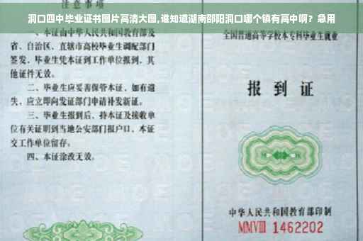 洞口四中毕业证书图片高清大图,谁知道湖南邵阳洞口哪个镇有高中啊？急用