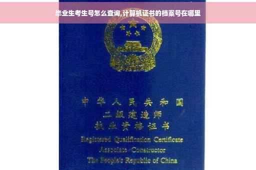 毕业生考生号怎么查询,计算机证书的档案号在哪里