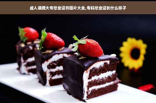 成人涵授大专毕业证书图片大全,专科毕业证长什么样子