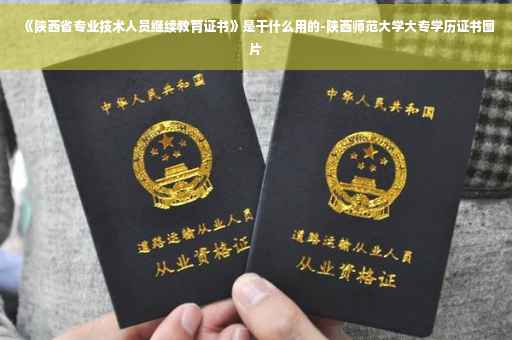 《陕西省专业技术人员继续教育证书》是干什么用的-陕西师范大学大专学历证书图片