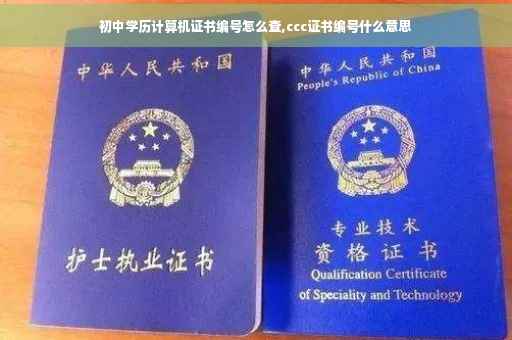 初中学历计算机证书编号怎么查,ccc证书编号什么意思