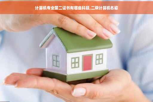 计算机专业国二证书有哪些科目,二级计算机名称