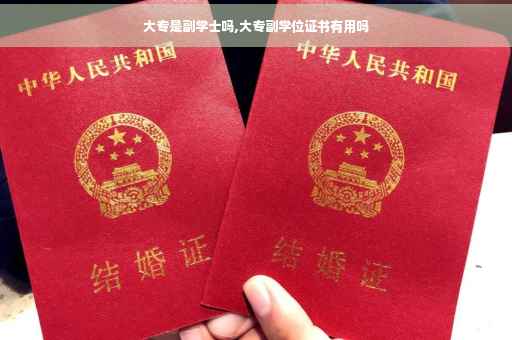 大专是副学士吗,大专副学位证书有用吗