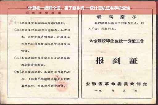 计算机一级那个证，丢了能补吗,一级计算机证书手机查询