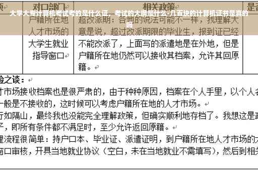 大学大专计算机考试考的是什么证，考试的大纲是什么-几百块的计算机证书是真的吗