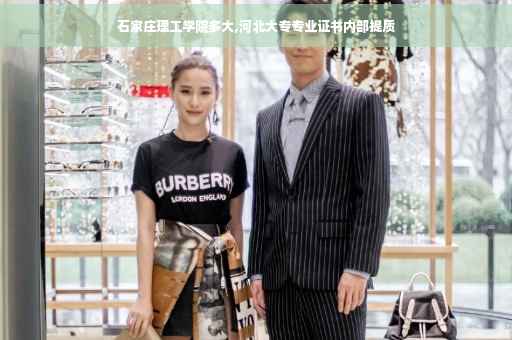 石家庄理工学院多大,河北大专专业证书内部提质
