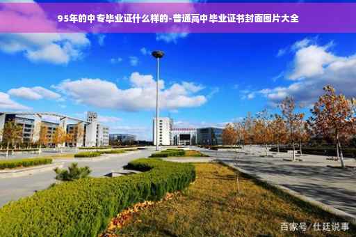 95年的中专毕业证什么样的-普通高中毕业证书封面图片大全