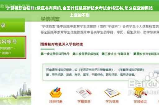 计算机职业技能c级证书有用吗,全国计算机高新技术考试合格证书,怎么在查询网站上查询不到