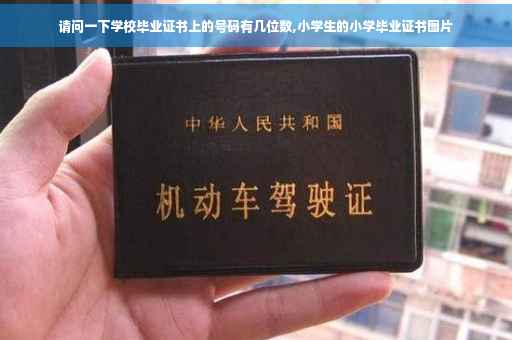 请问一下学校毕业证书上的号码有几位数,小学生的小学毕业证书图片