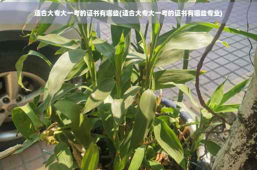 适合大专大一考的证书有哪些(适合大专大一考的证书有哪些专业)