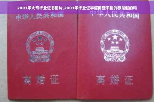 2003年大专毕业证书图片,2003年毕业证学信网查不到的都是假的吗