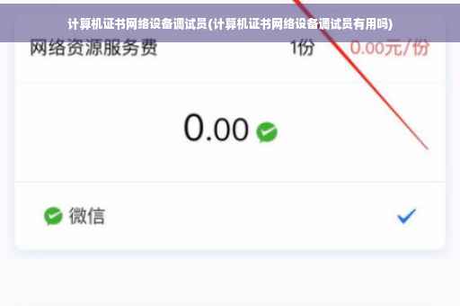 计算机证书网络设备调试员(计算机证书网络设备调试员有用吗)