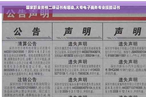 国家职业资格二级证书有哪些,大专电子商务专业技能证书