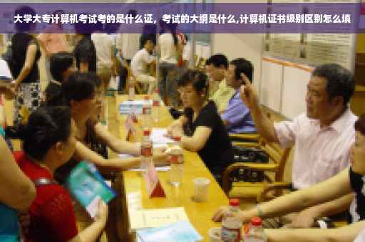 大学大专计算机考试考的是什么证，考试的大纲是什么,计算机证书级别区别怎么填