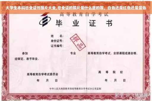 大学生本科毕业证书图片大全,毕业证的照片是什么底的啊，白色还是红色还是蓝色