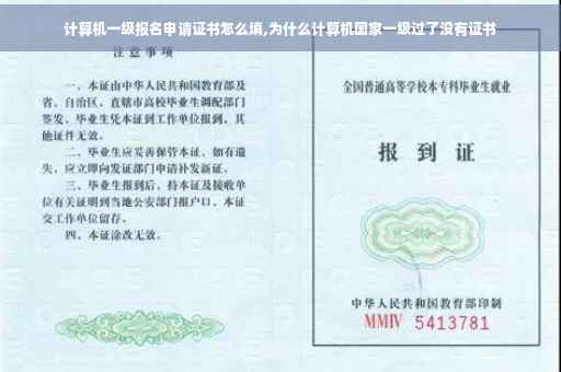 计算机一级报名申请证书怎么填,为什么计算机国家一级过了没有证书