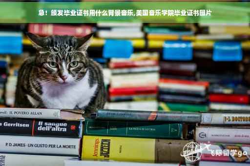 急！颁发毕业证书用什么背景音乐,美国音乐学院毕业证书图片