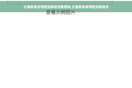 计算机专业考经济类证书有用吗,计算机专业考经济类证书