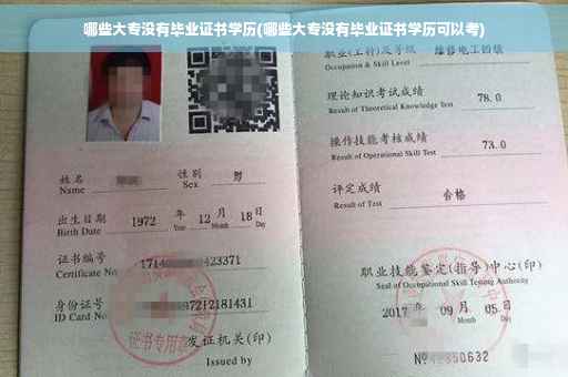 哪些大专没有毕业证书学历(哪些大专没有毕业证书学历可以考)