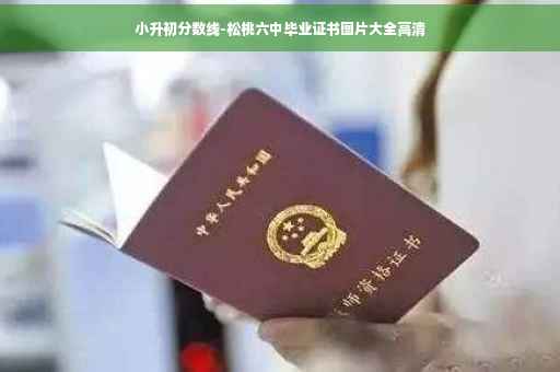 小升初分数线-松桃六中毕业证书图片大全高清