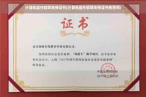 计算机操作初级资格证书(计算机操作初级资格证书有用吗)
