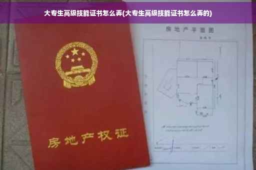 大专生高级技能证书怎么弄(大专生高级技能证书怎么弄的)