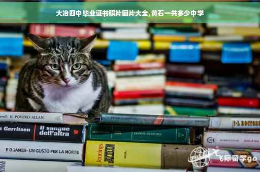 大冶四中毕业证书照片图片大全,黄石一共多少中学