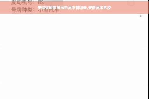 安徽省国家级示范高中有哪些,安徽高考名校