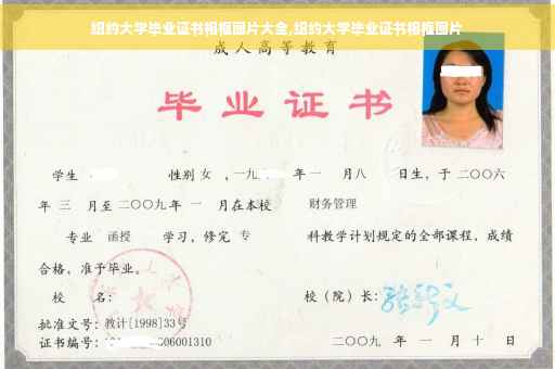 纽约大学毕业证书相框图片大全,纽约大学毕业证书相框图片